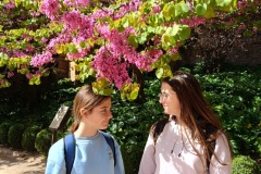 cac25e0a-d879-46ae-b6b2-05483ed16246