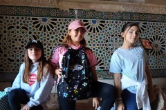 d1135d69-0b7e-4356-84df-4c5ab1ed5100