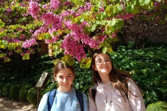 e00b78b2-e61e-4a3e-bf88-b252143e15ab