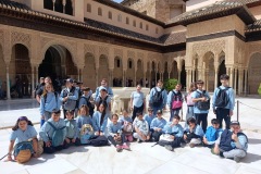 fc3ac357-41a9-4913-a684-47d33b6c2269