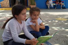 fb77a669-7008-4029-82ea-832297e3a0fd