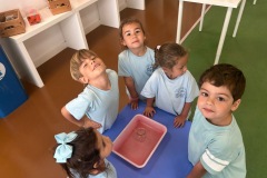 5121a39a-9812-4842-8264-73cba83d8954